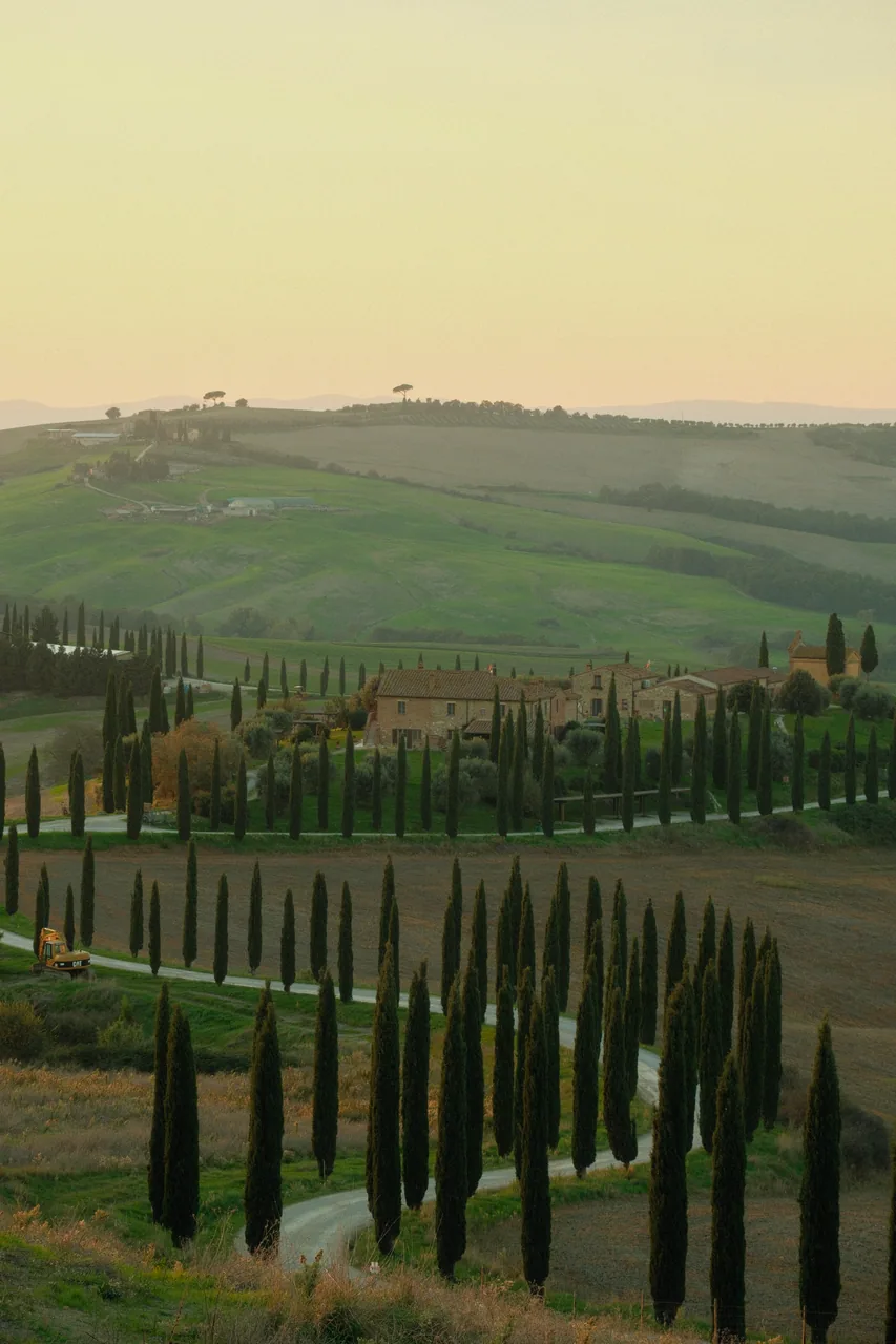 A cypress-lined road winding through the Tuscan hills